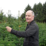 Weihnachtsbaumzüchter Burkhard Grobbel bei der Pflege der Weihnachtsbäume aus dem Sauerland